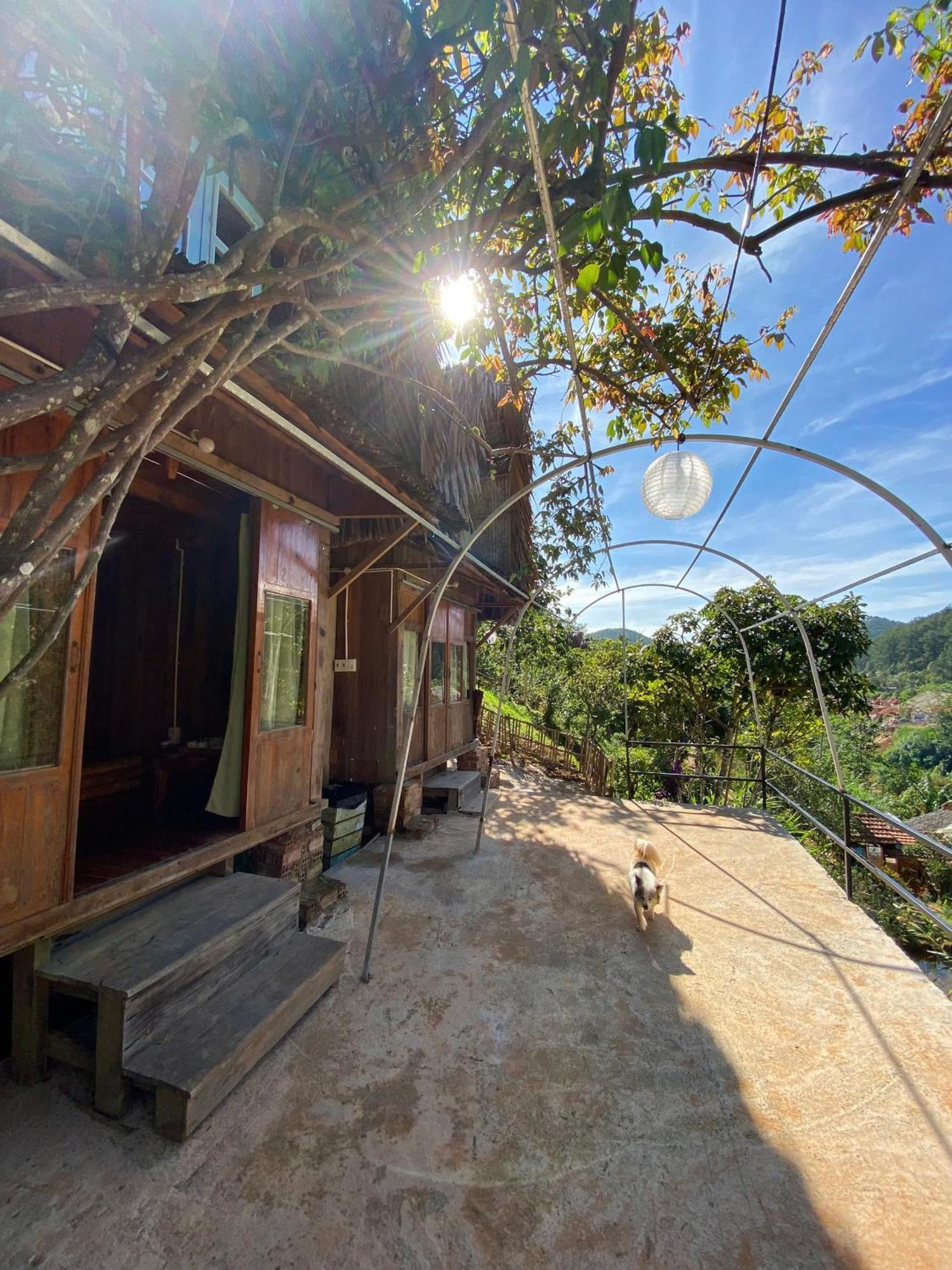 Vuon Nha Cui Homestay Νταλάτ Εξωτερικό φωτογραφία