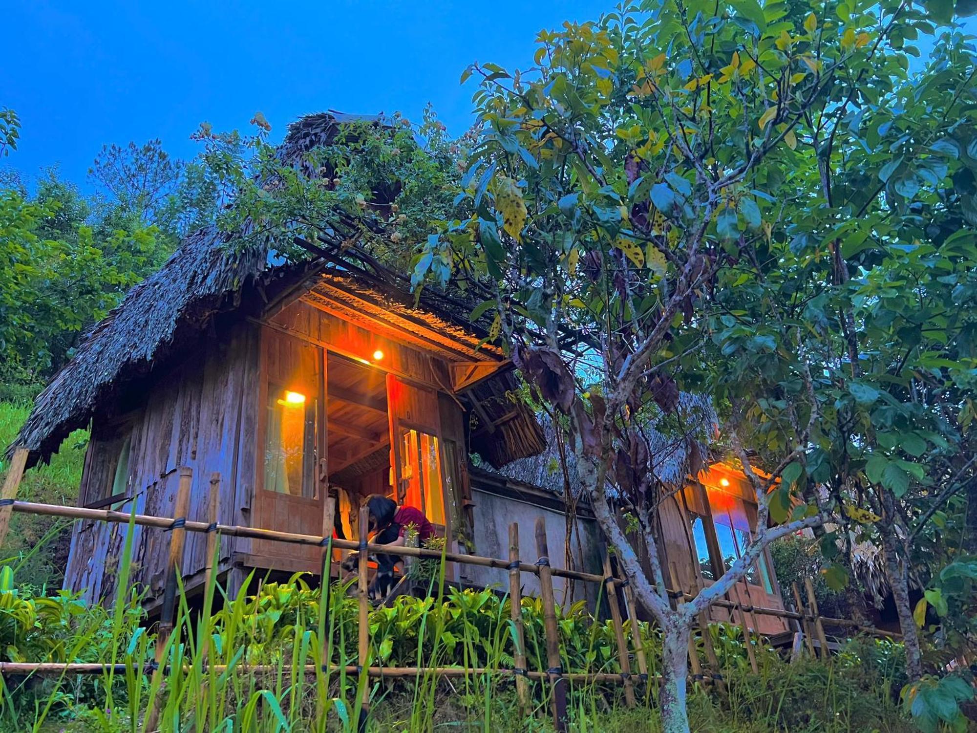 Vuon Nha Cui Homestay Νταλάτ Εξωτερικό φωτογραφία